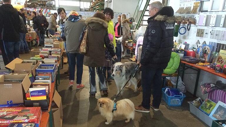 Geld soll unter anderem in die Kassen des Kitzinger Tierheims ein Frühlingsfest mit Flohmarkt bringen. Denn am Samstag, 13. Mai, verantsaltet die Firma Feßler von 12 bis 17 Uhr auf ihrem Gelände in der Kaltensondheimer Straße 63 ein Frühlingsfest. Das eingenommene Geld kommt dem Tierschutz zugute - auch dem Kitzinger Tierheim.