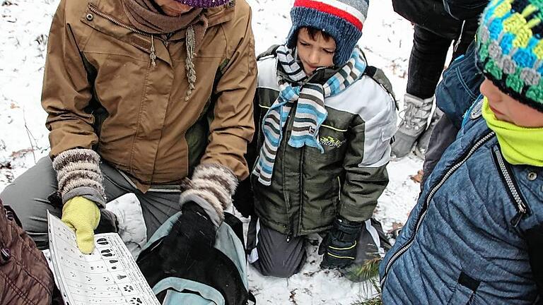 Kritische Blicke kleiner Forscher: Stammt der Abdruck im Schnee tatsächlich von einem Hund - oder könnte er doch von einem Wolf sein? Ökologin Andrea Fahmer (Mitte) vom Tierpark Sommerhausen gleicht die Spuren zusammen mit den Kindern ab.