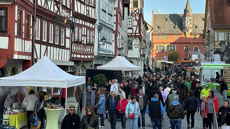 Buntes Markttreiben vor der Kulisse der Fachwerkzeile und dem Neuen Rathaus in Ochsenfurt.