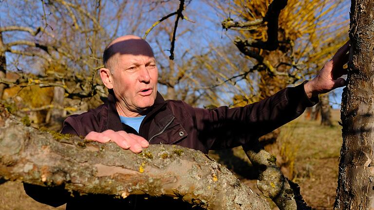 Georg Hansul gibt Tipps, wie man die Qualität des eigenen Obsts steigern kann. Georg Hansul gibt Tipps, wie man die Qualität des eigenen Obsts steigern kann.