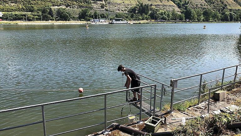 Manuela Keller vom Wasserwirtschaftsamt Aschaffenburg zieht eine Wasserprobe im Bereich der Staustufe Erlabrunn. Wegen der Hitze ist der Sauerstoffgehalt im Main drastisch gesunken.