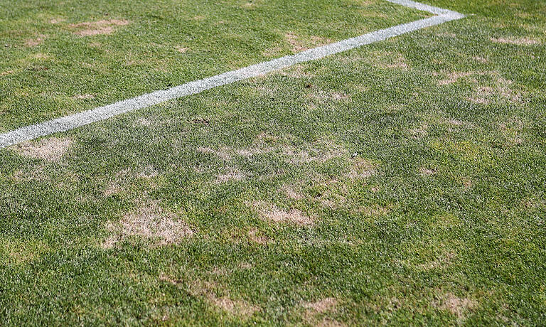 Selbst in Sportstätten, an denen viel Engagement für die Pflege verwendet wird, wie hier in der Würzburger Flyeralarm Arena, sieht der Rasen dieser Tage mitgenommen aus.