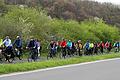 Meist auf Radwegen verlief die erste ILE Radl-Tour, an der etwa 50 Radlerinnen und Radler teilnahmen. Unser Foto entstand am Radweg zwischen Fahr und Stammheim.