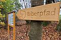 Ein Biberpfad, der eigentlich ein Naturlehrpfad ist, informiert mit Tafeln über das Leben des geschützten Nagers, aber auch über andere interessante Themen in einem Wald, wie zum Beispiel den ökologischen Wert von Totholz. Foto: Steffen Standke       -  Ein Biberpfad, der eigentlich ein Naturlehrpfad ist, informiert mit Tafeln über das Leben des geschützten Nagers, aber auch über andere interessante Themen in einem Wald, wie zum Beispiel den ökologischen Wert von Totholz. Foto: Steffen Standke