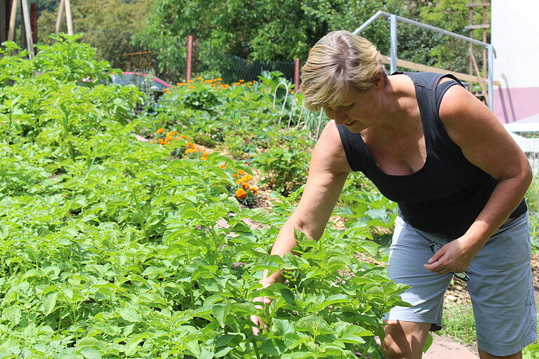 Bärbel Imhof, ehemalige Stadträtin der Grünen in Lohr, eröffnet einen Hofladen. Verkaufen darf sie nur, was vom eigenen Hof und aus dem eigenen Garten stammt sowie daraus hergestellte Produkte. Bärbel Imhof, ehemalige Stadträtin der Grünen in Lohr, eröffnet einen Hofladen. Verkaufen darf sie nur, was vom eigenen Hof und aus dem eigenen Garten stammt sowie daraus hergestellte Produkte.