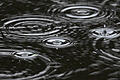 Regenwetter in Frankfurt am Main.jpeg       -  In den vergangenen Wochen hat es viel geregnet. Dadurch haben sich auch die Grundwasserstände in Bayern entspannt.