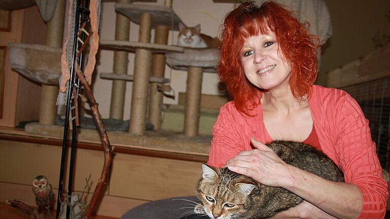 Monika Loewenhofer streichelt Bengo über das Fell. Seit acht Jahren lebt die Katze bei ihr &ndash; kurz nach der Geburt wurde Bengo in einem Plastiksack gefunden.