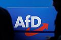 AfD.jpeg       -  Die AfD ist im Umfragehoch. Das droht den Wirtschaftsstandort Ostdeutschland zunehmend zu belasten.