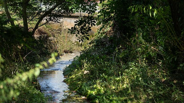 Eine trügerische Idylle: Fast das ganze Jahr über fließt das Wasser des Bachs gemächlich durch das Bachbett, bei Starkregen tritt er über die Ufer. Eine trügerische Idylle: Fast das ganze Jahr über fließt das Wasser des Bachs gemächlich durch das Bachbett, bei Starkregen tritt er über die Ufer. 