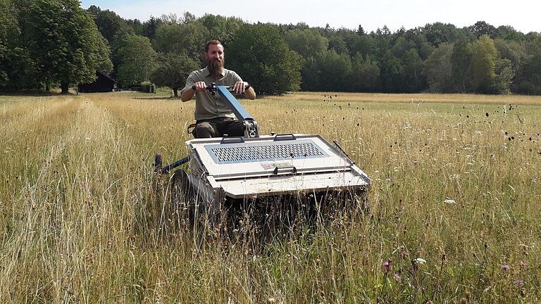 Ranger Andreas Gries bei der Saatgut-Ernte im Juli. Ranger Andreas Gries bei der Saatgut-Ernte im Juli.