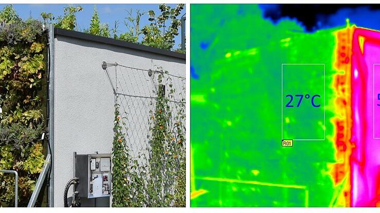 Thermografieaufnahme (rechts) am Südhaus der Klimaforschungsstation, ZAE Bayern in Würzburg. Thermografieaufnahme (rechts) am Südhaus der Klimaforschungsstation, ZAE Bayern in Würzburg.