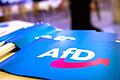 Fahne mit AfD-Logo       -  Wirbel um AfD-Großspende. (Symbolbild)