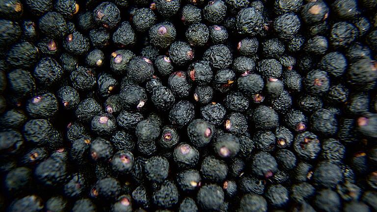 Maquibeeren sind ein Bestandteil der Kapseln, um die in Würzburg gestritten wurde.