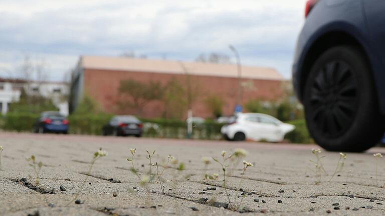 Der Parkplatz gegenüber der Realschule in Marktheidenfeld ist eine weitestgehend graue Betonfläche. Grün findet sich dort nur wenig. Mit kleinen Maßnahmen könnte eine Verbesserung im Sinne des Klimas in der Stadt geschaffen werden. Der Parkplatz gegenüber der Realschule in Marktheidenfeld ist eine weitestgehend graue Betonfläche. Grün findet sich dort nur wenig. Mit kleinen Maßnahmen könnte eine Verbesserung im Sinne des Klimas in der Stadt geschaffen werden. 