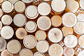 Assortment of full, frothy beer glasses and sizes       -  Symbolbild: Biergläser
