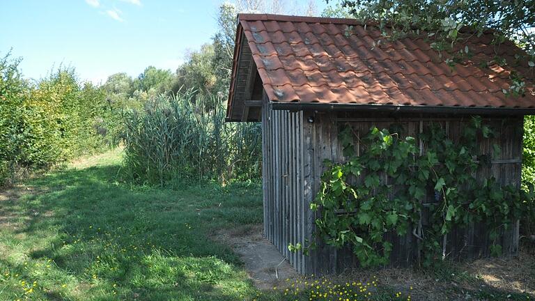 Für die Pflanzenkläranlage Rabelsdorf läuft die behördliche Genehmigung zum 31. Dezember diesen Jahres aus. Ein Gutachten und die formelle Beantragung für die Behörden zum Weiterbetrieb kosten 30.263 Euro.