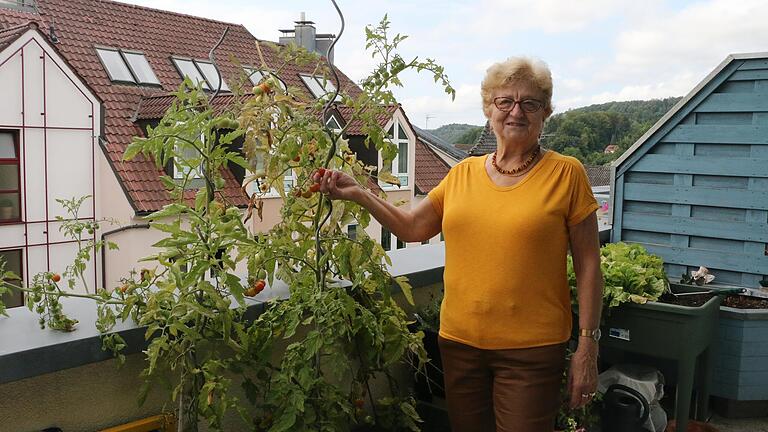Vor zwei Jahen ist Gertrud Nickel von Urspringen nach Marktheidenfeld gezogen. In ihrer Wohnung über den Dächern von Marktheidenfeld fühlt sich die 75-Jährige pudelwohl. Vor zwei Jahen ist Gertrud Nickel von Urspringen nach Marktheidenfeld gezogen. In ihrer Wohnung über den Dächern von Marktheidenfeld fühlt sich die 75-Jährige pudelwohl.