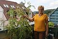 Vor zwei Jahen ist Gertrud Nickel von Urspringen nach Marktheidenfeld gezogen. In ihrer Wohnung über den Dächern von Marktheidenfeld fühlt sich die 75-Jährige pudelwohl.