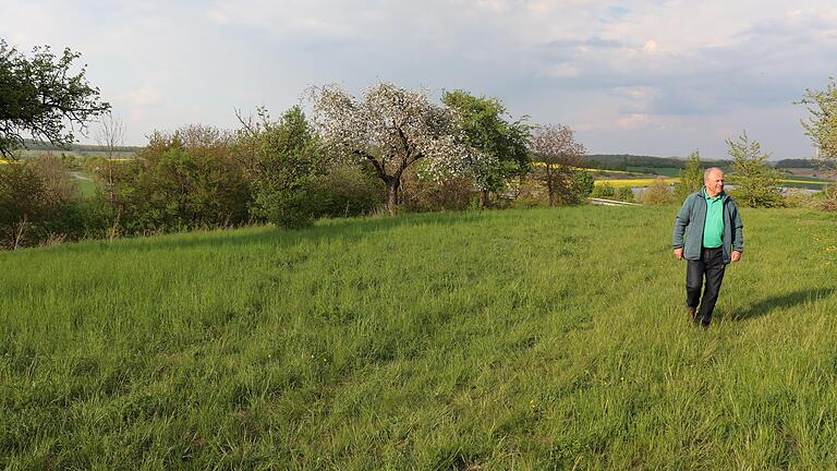 Der frühere Ortssprecher Ludwig Weigand schreitet die Obstwiese ab, die einem Baugebiet am Adelsberg zum Opfer fallen würde.