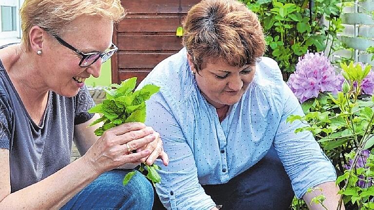 Dufte Sache: Elena Baier gibt Ilse Krämer gegen zwei Purzel frische Kräuter aus ihrem Garten.