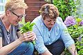 Dufte Sache: Elena Baier gibt Ilse Krämer gegen zwei Purzel frische Kräuter aus ihrem Garten.