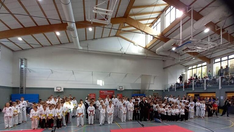 Aufstellung der einzelnen Kampfsportschulen.