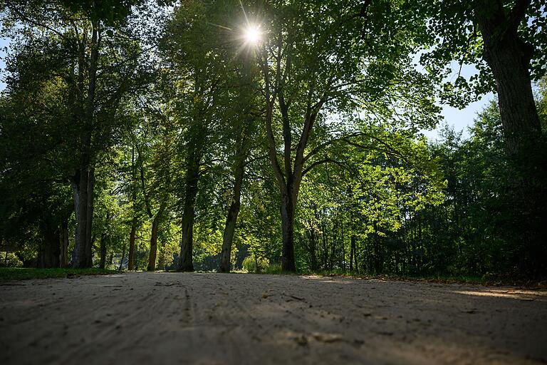 Über die Lindesmühlpromenade geht es zurück zum Ausgangspunkt. Über die Lindesmühlpromenade geht es zurück zum Ausgangspunkt.