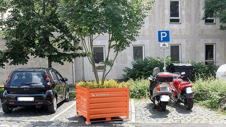 Wanderbäume kamen aus der Hofstraße - Die angesagtesten Pflanzen der Stadt sind derzeit die sogenannten Wanderbäume. Grüne Gewächse, die in orange-farbenen Kübeln an verschiedenen Orten stehen und für die Landesgartenschau 2018 werben – wenn sie nicht gerade wandern. Sechs von ihnen standen bis Montag in der Hofstraße herum, als sie der Umzugs- und Begrünungsbefehl zum blitzartig geräumten Faulhaber-Platz ereilte. Dieser künftige Park liegt praktischerweise gleich um die Ecke, weshalb eine Leserin vermutet, die Bäume seien schon in Vorahnung zum Ausgang des Bürgerentscheids dort geparkt worden. Ob das stimmt, ist nicht bekannt. Wir wissen nur, dass LGS-Wanderbäume demnächst auch mal am Dominikanerplatz Rast machen werden. Was nicht heißt, dass auch dieser Platz ein Park werden soll. FOTO: Obermeier Wanderbäume kamen aus der Hofstraße - Die angesagtesten Pflanzen der Stadt sind derzeit die sogenannten Wanderbäume. Grüne Gewächse, die in orange-farbenen Kübeln an verschiedenen Orten stehen und für die Landesgartenschau 2018 werben – wenn sie nicht gerade wandern. Sechs von ihnen standen bis Montag in der Hofstraße herum, als sie der Umzugs- und Begrünungsbefehl zum blitzartig geräumten Faulhaber-Platz ereilte. Dieser künftige Park liegt praktischerweise gleich um die Ecke, weshalb eine Leserin vermutet, die Bäume seien schon in Vorahnung zum Ausgang des Bürgerentscheids dort geparkt worden. Ob das stimmt, ist nicht bekannt. Wir wissen nur, dass LGS-Wanderbäume demnächst auch mal am Dominikanerplatz Rast machen werden. Was nicht heißt, dass auch dieser Platz ein Park werden soll. FOTO: Obermeier