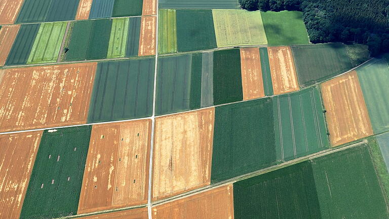 0000837042.jpg       -  Der Bauernverband fordert, Grund und Boden „intelligent zu bewirtschaften“ – und meint damit natürlich, dass die Politik eben das bisher verhindert. Unser Bild entstand im Landkreis Günzburg.