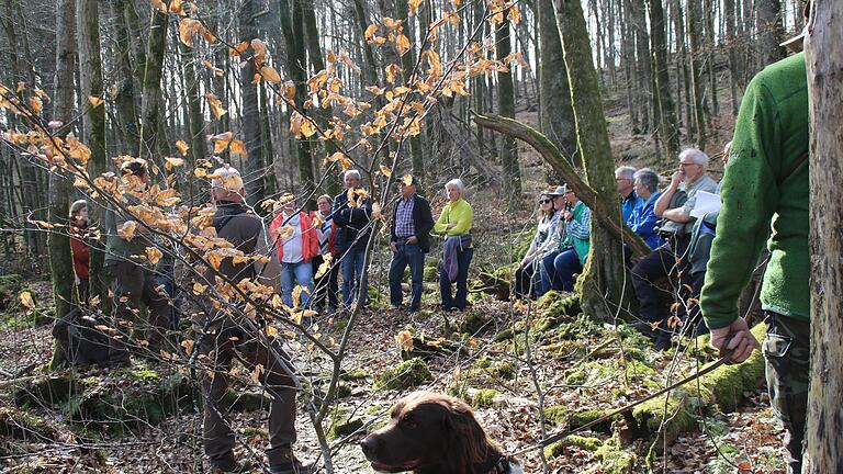 Exkursion im Wald an der Reither Mühle. - Exkursion im Wald an der Reither Mühle. Exkursion im Wald an der Reither Mühle. - Exkursion im Wald an der Reither Mühle.
