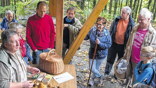 Pilzsuche im Sinngrund: Wann es lohnt