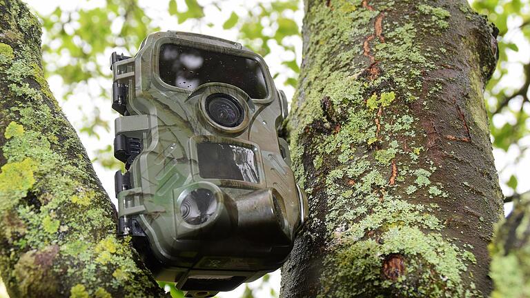 Viele Jäger oder Waldbesitzer platzieren aus unterschiedlichen Gründen Wildkameras im Wald.