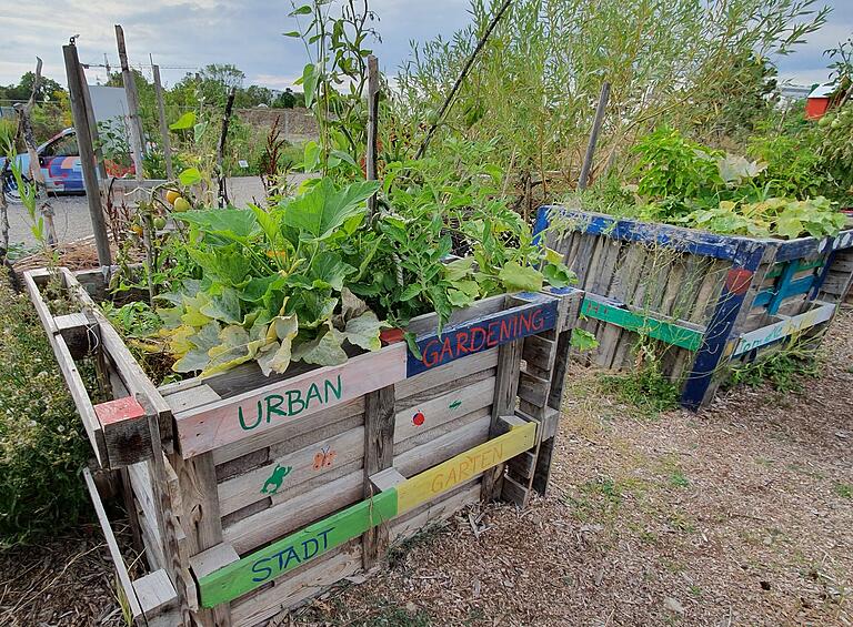 Der sogenannte 'Stadtgarten am Hubland' wird vom Verein 'Stadtgärtner Urban Gardening Würzburg e.V.' betreut.