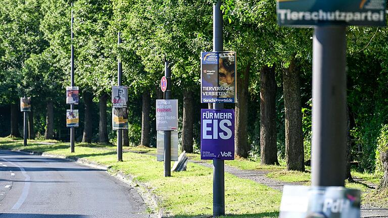 Die Ergebnisse der Europawahl 2024 in Würzburg im Detail: Wer verliert, wer profitiert und inwiefern die AfD hier schlechter abschneidet als in anderen Landesteilen.