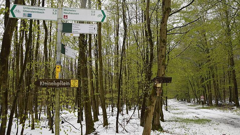 Die Bayerischen Staatsforsten haben nicht nur für den Forstbetrieb Ebrach, dessen Wälder am Ostermontag vom Schnee weiß gezuckert waren, ein Naturschutzkonzept, sondern für alle 41 Forstbetriebe. Sie sind ab sofort im Internet einzusehen.