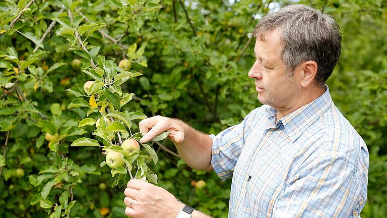 Damit es eine reichte Ernte gibt, sollten Obstbäume bis Ende März geschnitten werden, weiß Hubert Siegler von der Bayerische Landesanstalt für Weinbau und Gartenbau (LWG).