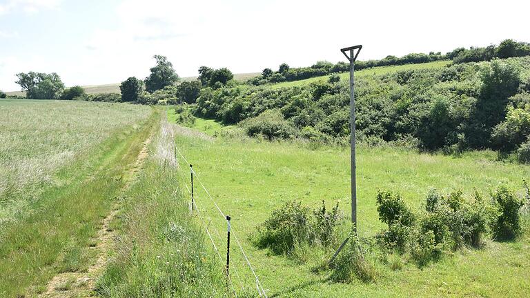 Inseln mit neuen Lebensräumen lockern die von intensiver Landwirtschaft geprägte Höhenlagen auf.