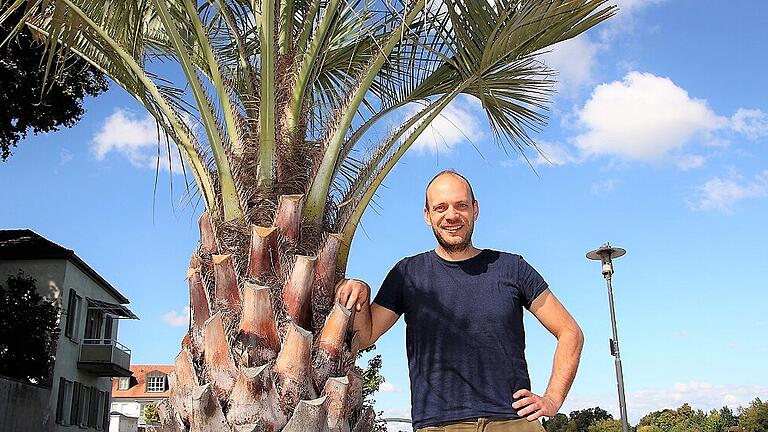 Willkommen unter Palmen: Martin Schneider hat viele Ideen, wie man dem Klimawandel in der Großen Kreisstadt die Stirn bieten kann.