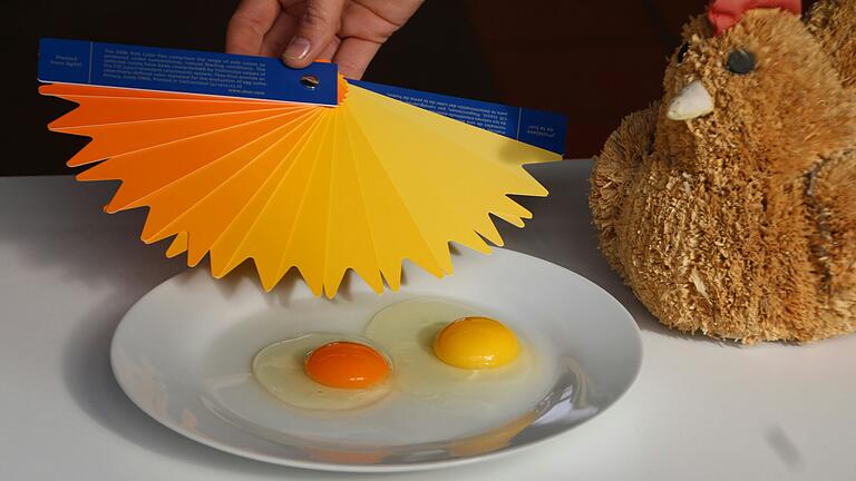 Von Hellgelb bis Orange: Eidotter kann viele Farben haben – ein Farbfächer unterscheidet die Töne. Ein Hinweis auf Qualität und Frische des Eis ist die Farbe jedoch nicht. Von Hellgelb bis Orange: Eidotter kann viele Farben haben – ein Farbfächer unterscheidet die Töne. Ein Hinweis auf Qualität und Frische des Eis ist die Farbe jedoch nicht.