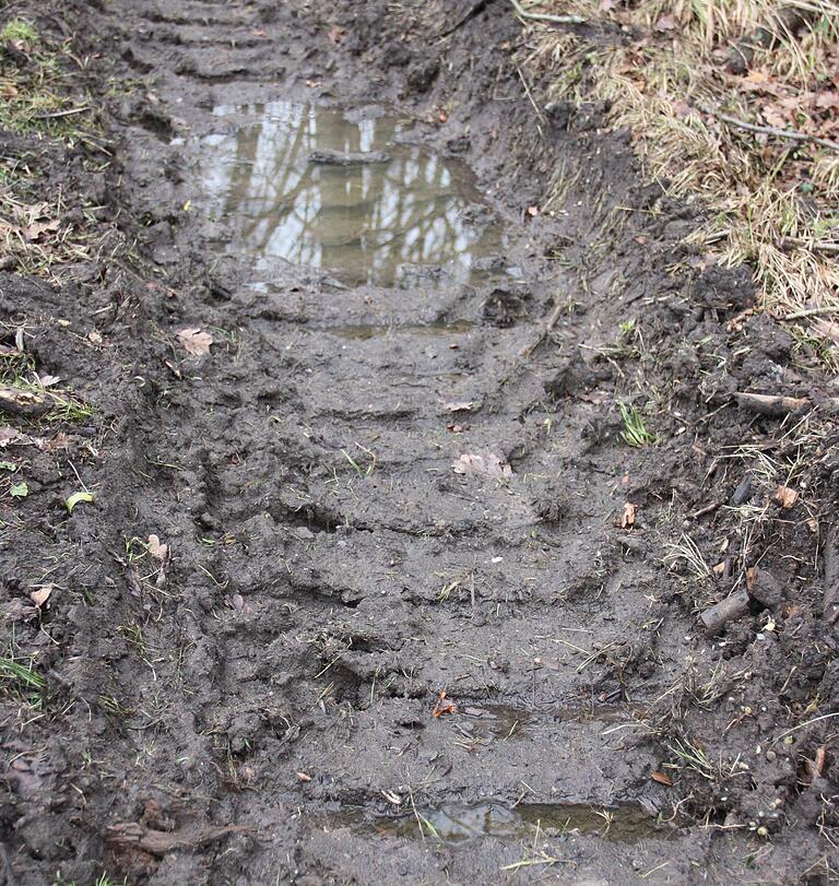 Trotz aufgezogener Moorbänder haben die Reifen der schweren Rückefahrzeuge Spuren in der Gasse hinterlassen. Trotz aufgezogener Moorbänder haben die Reifen der schweren Rückefahrzeuge Spuren in der Gasse hinterlassen.