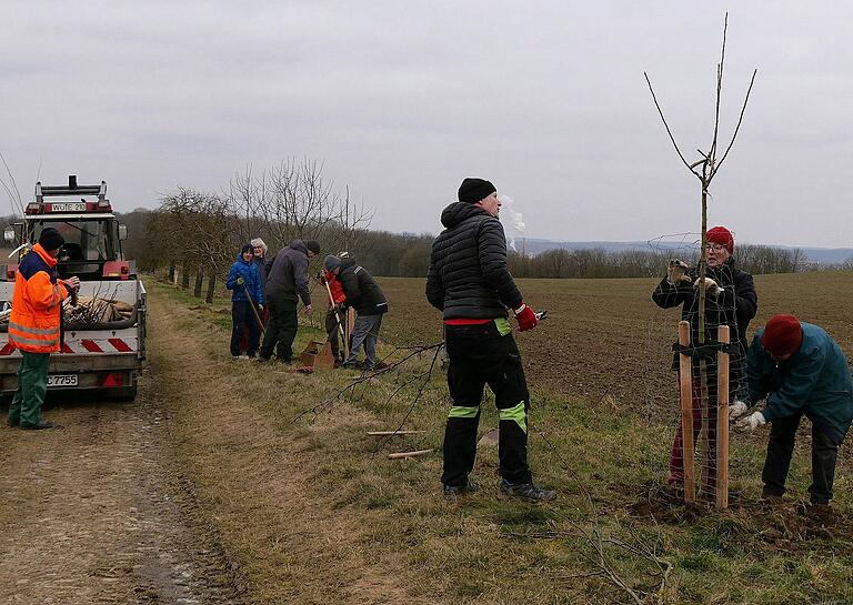 In der Nähe des Guts Gieshügel bei Gerbrunn wurden vom Obst- und Gartenbauverein und von der Ortsgruppe BUND Naturschutz 25 weitere Naschbäume gepflanzt. In der Nähe des Guts Gieshügel bei Gerbrunn wurden vom Obst- und Gartenbauverein und von der Ortsgruppe BUND Naturschutz 25 weitere Naschbäume gepflanzt.