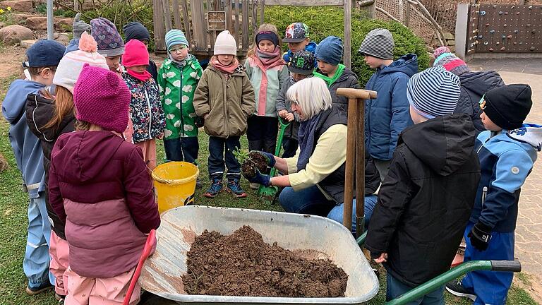 Die Vorschüler von St. Pius sind jetzt Baumpaten.