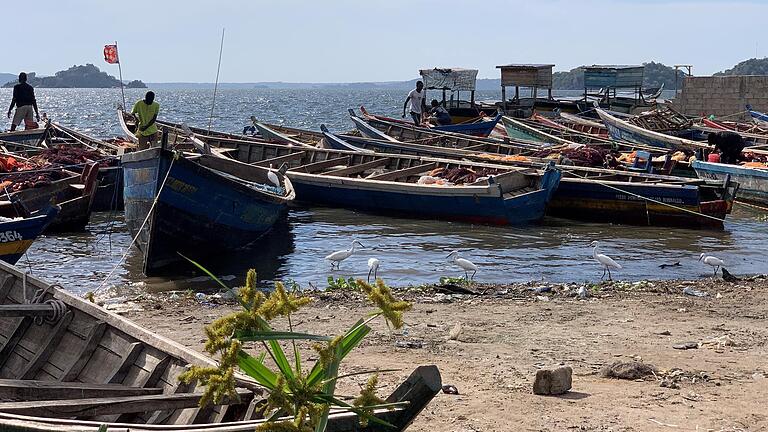 Bei Mwanza: Über 700 Fischer nutzen jetzt Solarlampen statt Kerosinlampen zum Fischfang. Dadurch konnten nicht nur&nbsp; die Fangquoten der kleinen Fische enorm gesteigert werden.