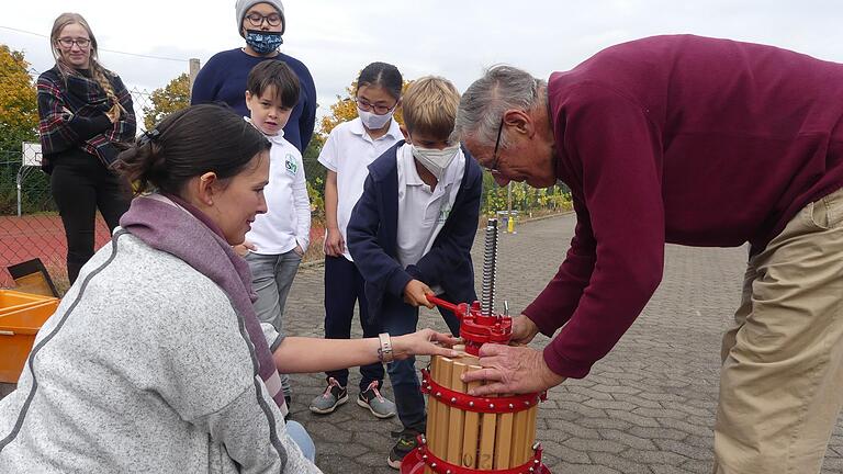 Erntetag: An der International School Mainfranken wurde aus jungen Früchten der erste Traubensaft gekeltert.