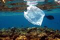 Müll im Meer       -  Im Meer treiben nicht nur Plastiktüten,sondern vor allem winzig kleine Kunststoffpartikel.