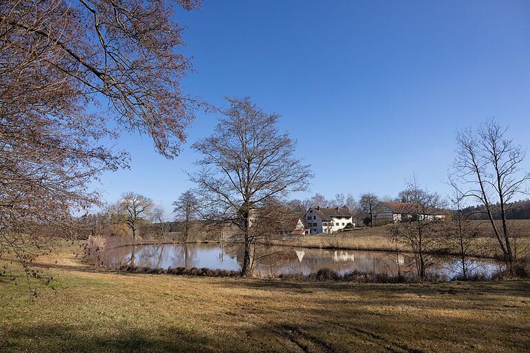 Blick auf einen Weiher am Schloss Brennhausen. Blick auf einen Weiher am Schloss Brennhausen.