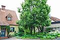 Einladend: ein offener Hof mit Linde als Hausbaum.