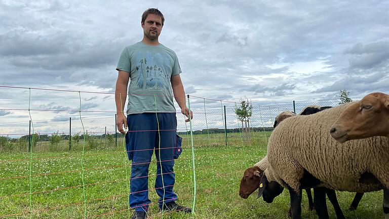 Schäfer Daniel Geiling-Storch ist fassungslos: Von seiner Weide am Solarpark nahe Brünnstadt haben Unbekannte von Samstag auf Sonntag 22 Lämmer von seiner rund 200 Tiere starken Herde gestohlen. Dabei starben auch einige Tiere, die tot in einem solchen Trennzaun hingen.