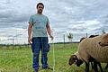 Schäfer Daniel Geiling-Storch ist fassungslos: Von seiner Weide am Solarpark nahe Brünnstadt haben Unbekannte von Samstag auf Sonntag 22 Lämmer von seiner rund 200 Tiere starken Herde gestohlen. Dabei starben auch einige Tiere, die tot in einem solchen Trennzaun hingen.