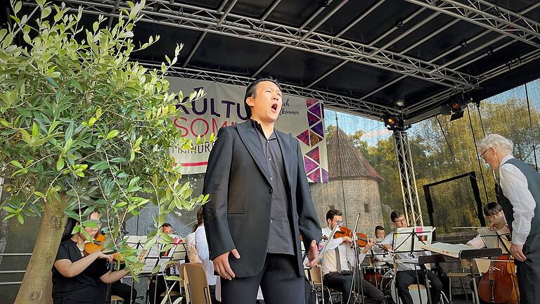 Das Kammerorchester Würzburg, unter der Leitung von Professor Wolfgang Kurz, brachte im vergangenen Jahr 'Die Entführung aus dem Serail' auf die Bühne an der Ochsenfurter Mainlände. Das Kammerorchester Würzburg, unter der Leitung von Professor Wolfgang Kurz, brachte im vergangenen Jahr 'Die Entführung aus dem Serail' auf die Bühne an der Ochsenfurter Mainlände.